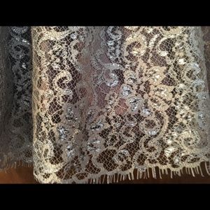 Anthropologie HD in Paris metallic lace skirt